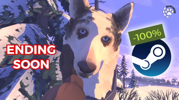 Wilderness survival The Red Lantern is FREE to keep on Steam until TOMORROW (updated)